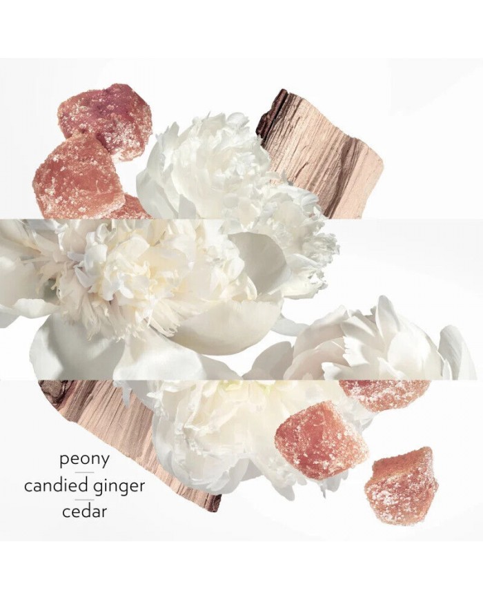 Twilly d'Hermès Eau Ginger: Parfum Profumo Donna  Spray Eau de Parfum Fresco