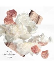 Twilly d'Hermès Eau Ginger: Parfum Profumo Donna  Spray Eau de Parfum Fresco