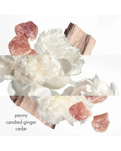 Twilly d'Hermès Eau Ginger: Parfum Profumo Donna  Spray Eau de Parfum Fresco