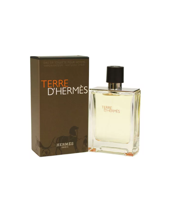 Terre d hermes Hermes profumo da uomo 200 ml vapo