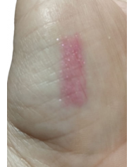 PUPA Shine Up! Lipstick N001  Lips Rossetto Matita Effetto Scintillante