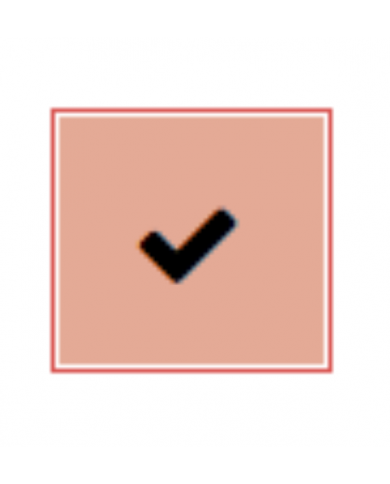 SHISEIDO - UV PROTECTIVE STICK FOUNDATION - BEIGE - SPF 30 - 9 GR