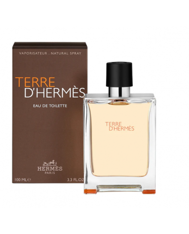 HERMÈS TERRE D'HERMÈS EAU DE TOILETTE PROFUMO UOMO SPRAY 100 ML