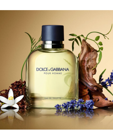 DOLCE & GABBANA POUR HOMME EAU DE TOILETTE PROFUMO UOMO SPRAY 75 ML