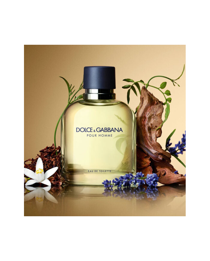 DOLCE & GABBANA POUR HOMME EAU DE TOILETTE PROFUMO UOMO SPRAY 75 ML